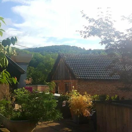 "Cote Nature", Appartement Cosy Au Coeur De Munster Munster  Exterior photo