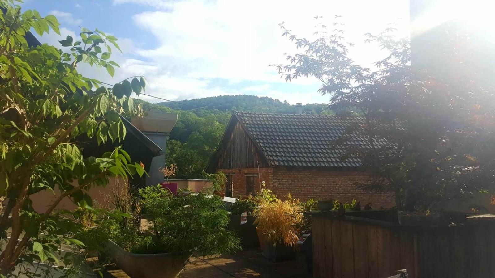 "Cote Nature", Appartement Cosy Au Coeur De Munster Munster  Exterior photo