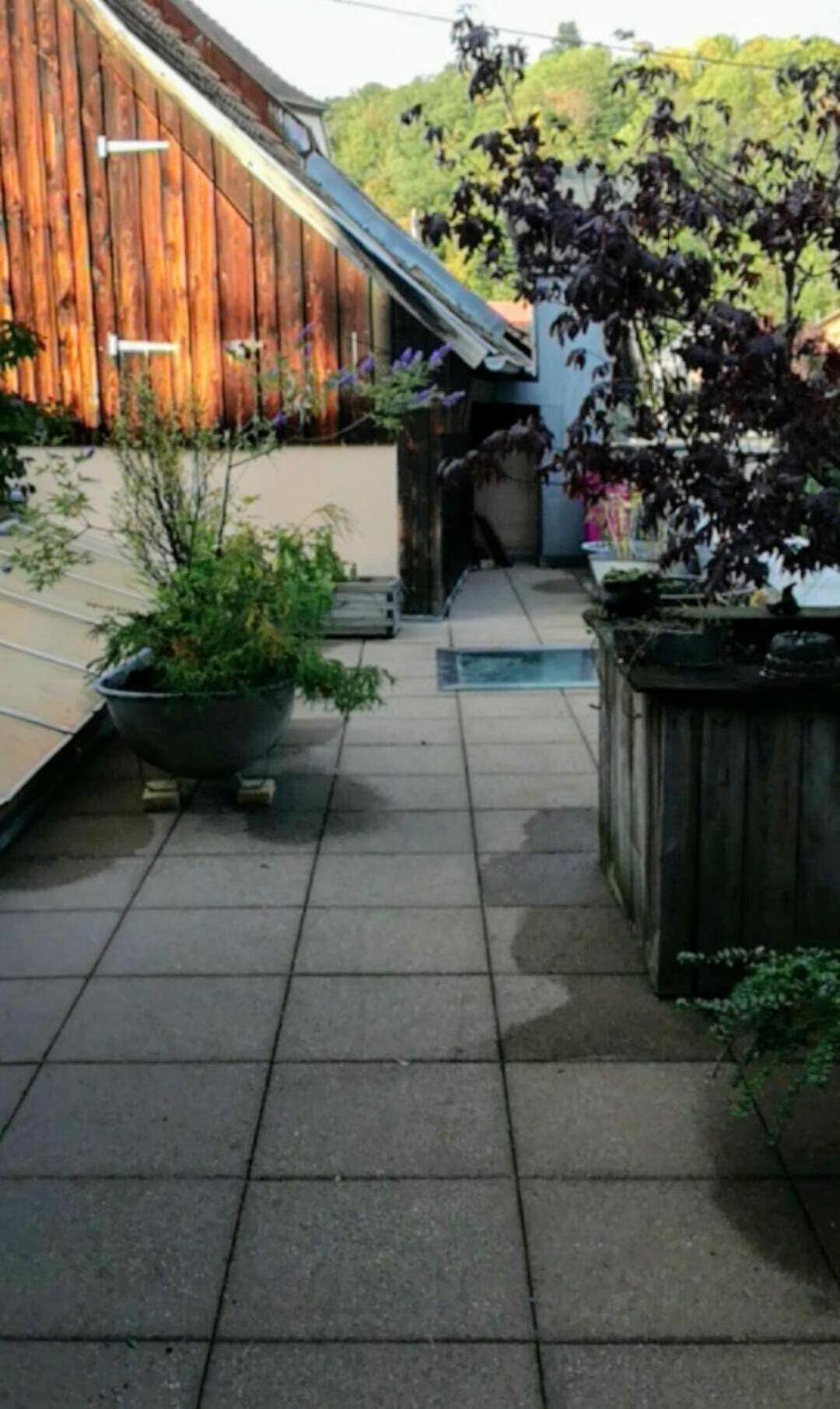 "Cote Nature", Appartement Cosy Au Coeur De Munster Munster  Exterior photo