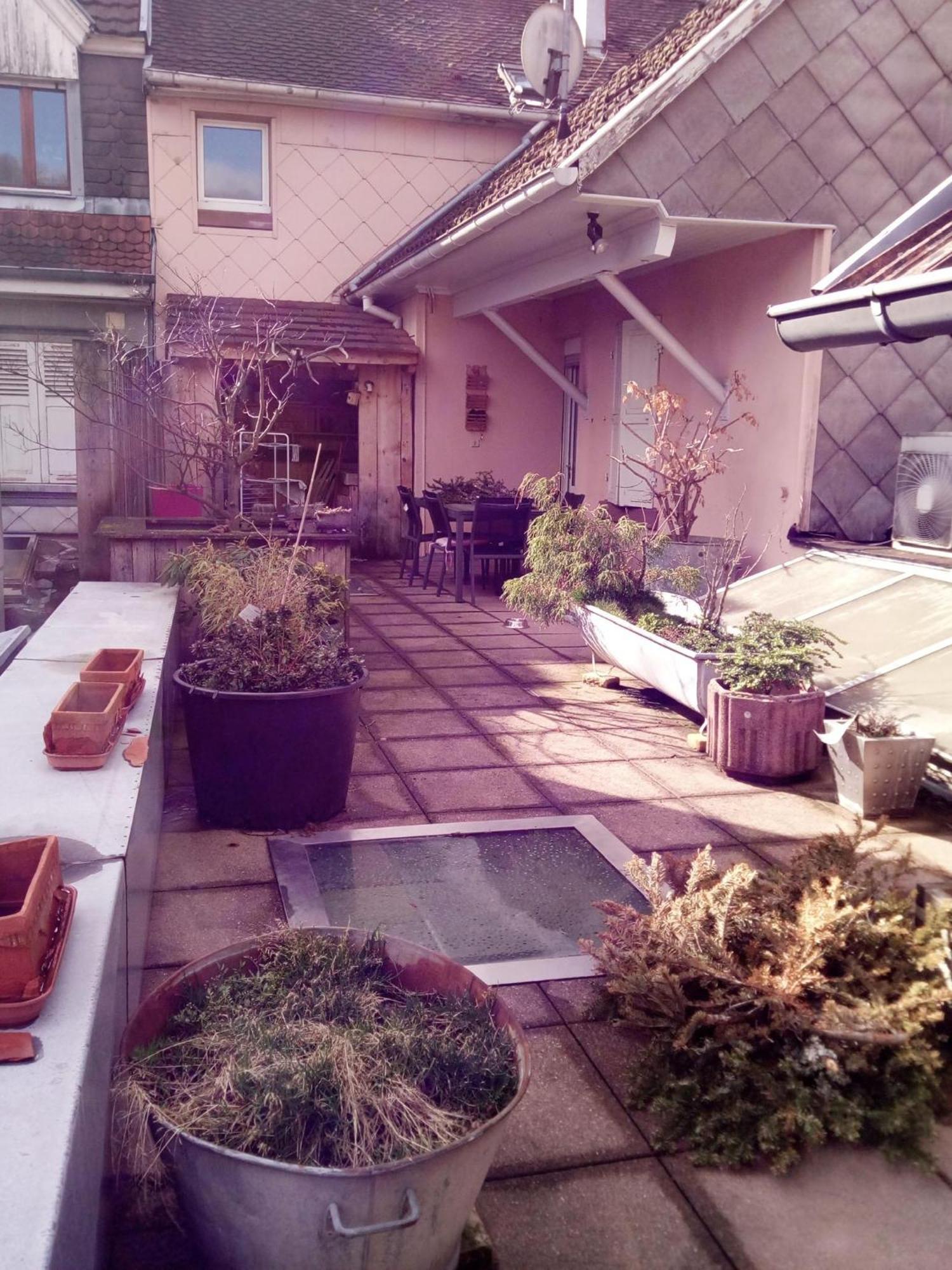 "Cote Nature", Appartement Cosy Au Coeur De Munster Munster  Exterior photo