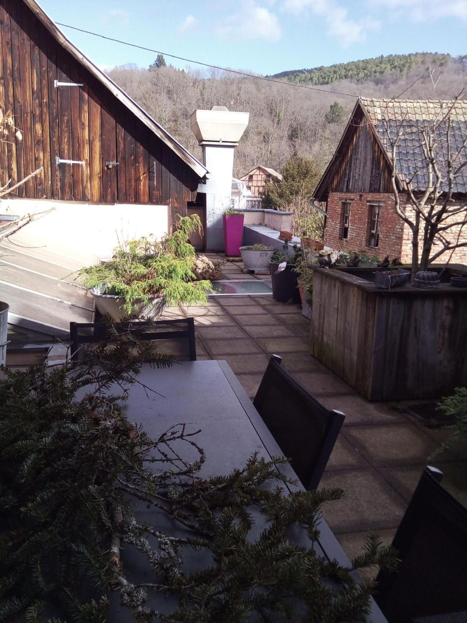 "Cote Nature", Appartement Cosy Au Coeur De Munster Munster  Exterior photo